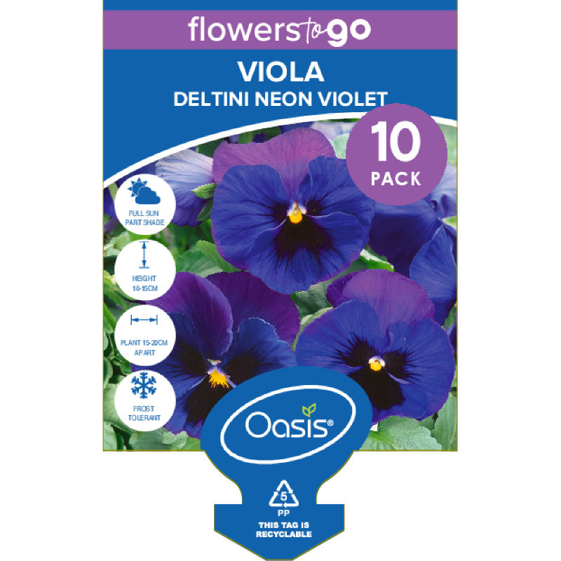 Oasis Horticulture Pty Ltd VIOLA DELTINI NEON VIOLET FLOWERS TO GO 10