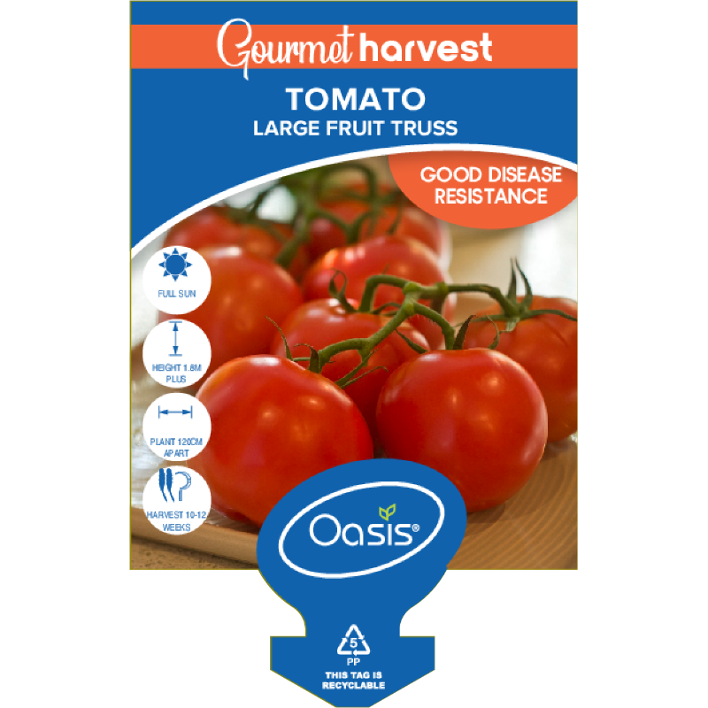Oasis Horticulture TOMATO LARGE FRUIT TRUSS GOURMET HARVEST 125MM POT