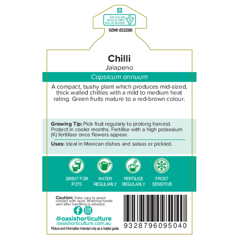 Oasis Horticulture Pty Ltd CHILLI JALAPENO ZEST 180MM POT